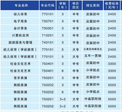 衡阳幼儿师范高等专科学校专业