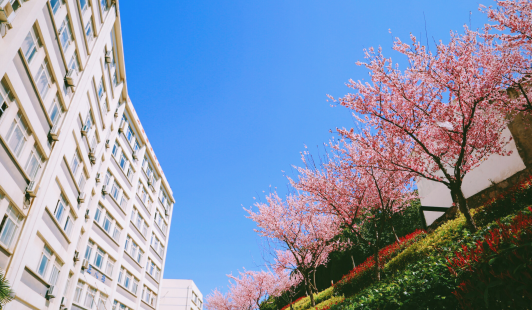 自贡市永安职业中学校地址