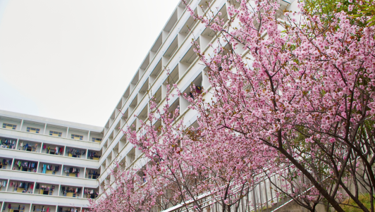 自贡市永安职业中学校校园环境