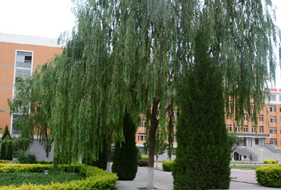 西北师范大学知行学院