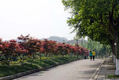 重庆电子工程职业学院汽车工程学院