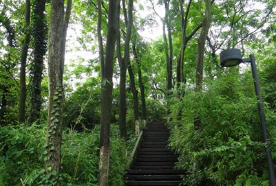 重庆人文科技学院