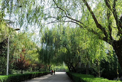 天水师范学院