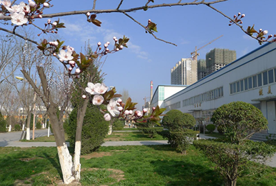 天水师范学院