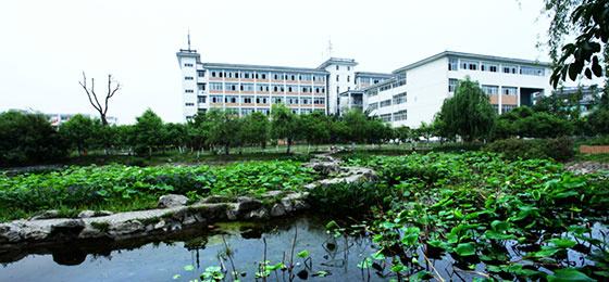 四川爱华学院2019年招生简章