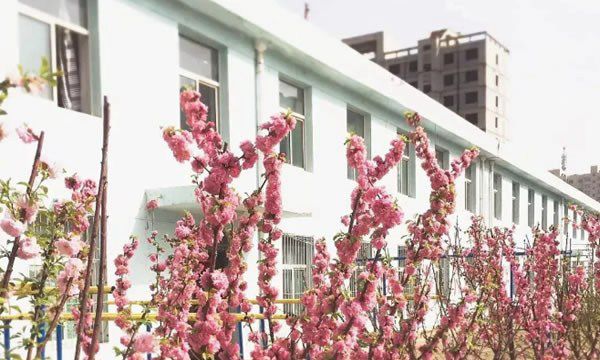 忻州市飞天艺术职业学校餐厅