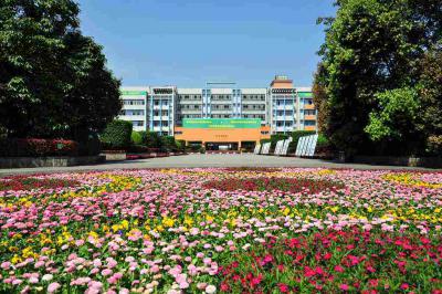 学校风景