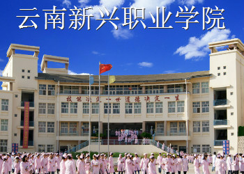 云南新兴职业学院2021年五年制大专招生简章