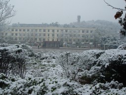 校园雪景