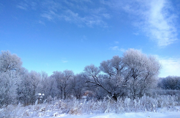 长春旅游学校