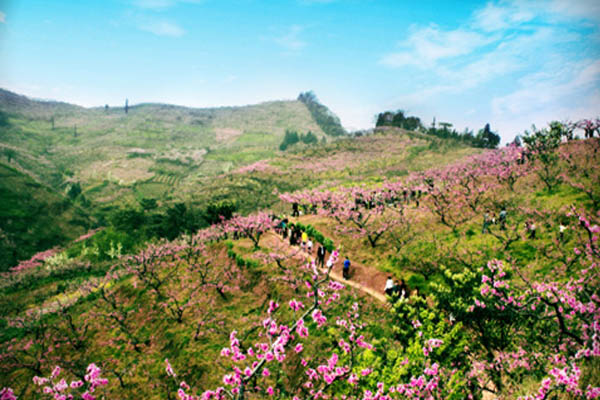 乐山职业技术学院