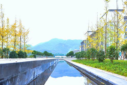 重庆商务职业学院五年制大专学校乘车路线